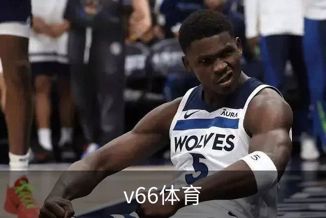 v66体育 公司简介